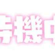 ヒメ日記 2024/02/25 18:07 投稿 えりか 奥鉄オクテツ奈良