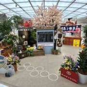 ヒメ日記 2025/03/26 11:37 投稿 えりか 奥鉄オクテツ奈良