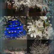 ヒメ日記 2025/04/05 16:48 投稿 えりか 奥鉄オクテツ奈良