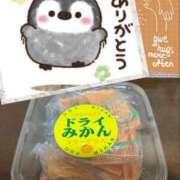 ヒメ日記 2025/04/20 21:53 投稿 えりか 奥鉄オクテツ奈良