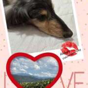 ヒメ日記 2025/09/22 11:33 投稿 えりか 奥鉄オクテツ奈良