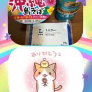 ヒメ日記 2025/09/24 11:50 投稿 えりか 奥鉄オクテツ奈良