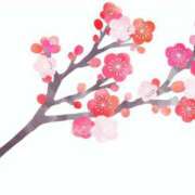 ヒメ日記 2026/02/06 09:13 投稿 えりか 奥鉄オクテツ奈良