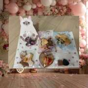 ヒメ日記 2026/02/22 16:45 投稿 えりか 奥鉄オクテツ奈良