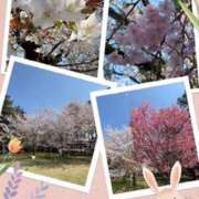 ヒメ日記 2026/04/03 14:43 投稿 えりか 奥鉄オクテツ奈良