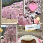 ヒメ日記 2026/04/09 16:50 投稿 えりか 奥鉄オクテツ奈良