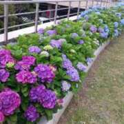 ヒメ日記 2025/06/12 17:19 投稿 楚　乃 [ソノ] ゆるふわ彼女