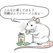 ヒメ日記 2025/08/04 00:19 投稿 楚　乃 [ソノ] ゆるふわ彼女