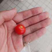 ヒメ日記 2025/08/16 17:19 投稿 楚　乃 [ソノ] ゆるふわ彼女