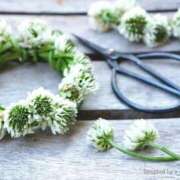 ヒメ日記 2025/12/31 18:43 投稿 楚　乃 [ソノ] ゆるふわ彼女