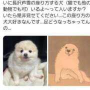 ヒメ日記 2026/01/04 15:53 投稿 楚　乃 [ソノ] ゆるふわ彼女