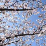 ヒメ日記 2026/01/21 18:33 投稿 楚　乃 [ソノ] ゆるふわ彼女