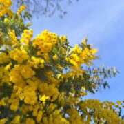 ヒメ日記 2026/03/05 23:43 投稿 楚　乃 [ソノ] ゆるふわ彼女