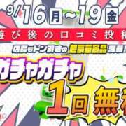 ヒメ日記 2024/09/17 14:21 投稿 あみ 新宿カルテ