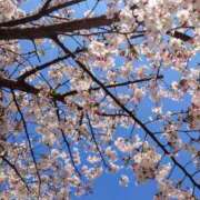 ヒメ日記 2025/04/06 17:29 投稿 りん 完熟ばなな 谷九店