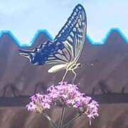 ヒメ日記 2025/07/27 10:11 投稿 りん 完熟ばなな 谷九店