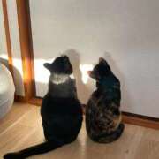 ヒメ日記 2026/01/04 19:01 投稿 香菜子◇かなこ 人妻吐息