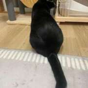 ヒメ日記 2026/04/04 14:56 投稿 香菜子◇かなこ 人妻吐息