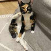 ヒメ日記 2026/04/16 06:36 投稿 香菜子◇かなこ 人妻吐息