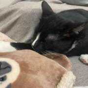 ヒメ日記 2026/04/18 13:56 投稿 香菜子◇かなこ 人妻吐息