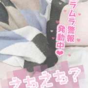 ヒメ日記 2025/02/27 09:57 投稿 あい 丸妻 横浜本店