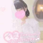 ヒメ日記 2025/04/14 12:06 投稿 あい 丸妻 横浜本店