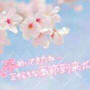 ヒメ日記 2025/04/08 07:00 投稿 わかな 奥さま未来　立川店