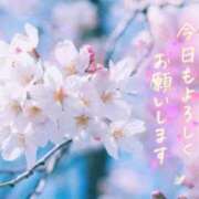 ヒメ日記 2025/04/10 07:08 投稿 わかな 奥さま未来　立川店