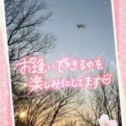 ヒメ日記 2025/04/15 07:10 投稿 わかな 奥さま未来　立川店