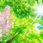 ヒメ日記 2025/04/17 07:47 投稿 わかな 奥さま未来　立川店