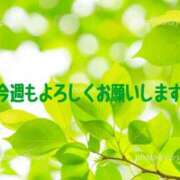 ヒメ日記 2025/05/19 07:45 投稿 わかな 奥さま未来　立川店