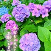 ヒメ日記 2025/06/24 07:21 投稿 わかな 奥さま未来　立川店