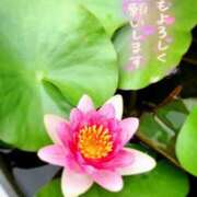 ヒメ日記 2025/07/14 07:03 投稿 わかな 奥さま未来　立川店