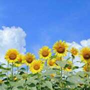 ヒメ日記 2025/08/18 06:45 投稿 わかな 奥さま未来　立川店