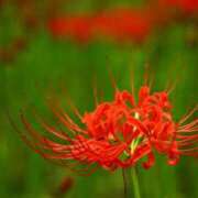 ヒメ日記 2025/09/22 08:30 投稿 わかな 奥さま未来　立川店