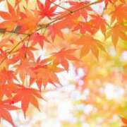 ヒメ日記 2025/11/06 07:31 投稿 わかな 奥さま未来　立川店