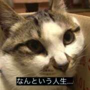 ヒメ日記 2026/06/09 16:01 投稿 瑛翔（えいか）～M性感～ アメイジングビル～道後最大級！遊び方無限大∞ヘルス♪～