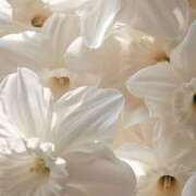 ヒメ日記 2025/01/26 19:48 投稿 あき 藤沢人妻城