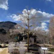 ヒメ日記 2025/02/25 10:40 投稿 あき 藤沢人妻城