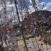 ヒメ日記 2025/02/25 12:55 投稿 あき 藤沢人妻城