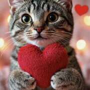 あき 今日は11時から❤️ 藤沢人妻城