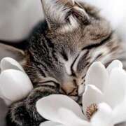 あき 4/19（日）15:00〜 藤沢人妻城