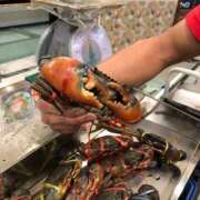 ヒメ日記 2025/04/07 23:03 投稿 愛原　みやび 雫(しずく)