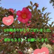 ヒメ日記 2024/12/31 20:02 投稿 井上りん 恋する奥さん 西中島店