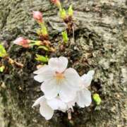 ヒメ日記 2025/03/30 06:40 投稿 井上りん 恋する奥さん 西中島店