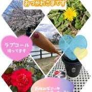 ヒメ日記 2025/04/03 23:13 投稿 井上りん 恋する奥さん 西中島店