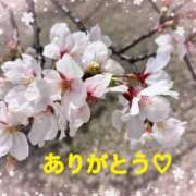 ヒメ日記 2025/04/06 11:32 投稿 井上りん 恋する奥さん 西中島店