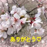 ヒメ日記 2025/04/06 15:01 投稿 井上りん 恋する奥さん 西中島店