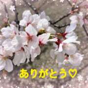 ヒメ日記 2025/04/06 19:35 投稿 井上りん 恋する奥さん 西中島店