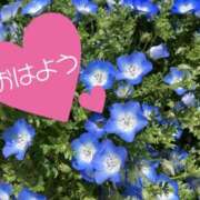 ヒメ日記 2025/04/07 08:03 投稿 井上りん 恋する奥さん 西中島店